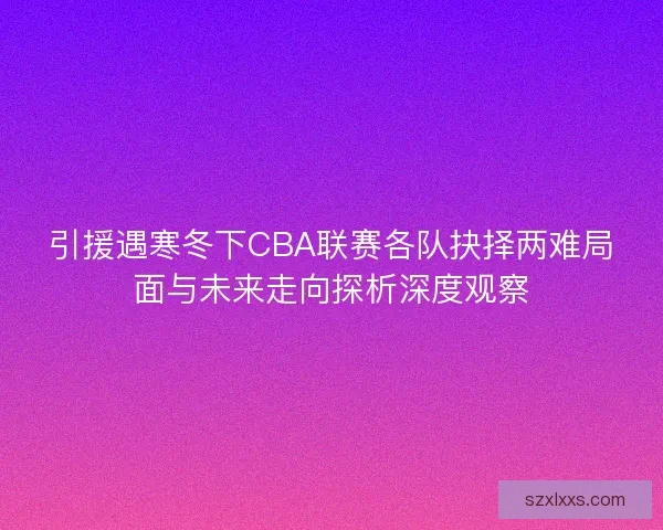 引援遇寒冬下CBA联赛各队抉择两难局面与未来走向探析深度观察